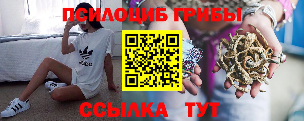 Псилоцибиновые грибы Magic Shrooms Будённовск