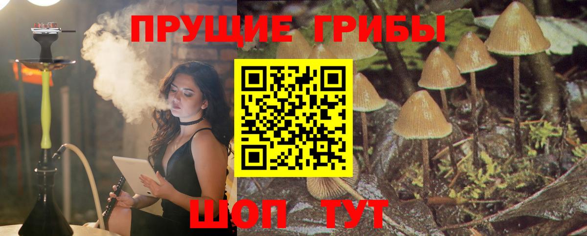 Псилоцибиновые грибы Psilocybe  Вход с VPN  Будённовск  Галлюциногенные грибы Cubensis 